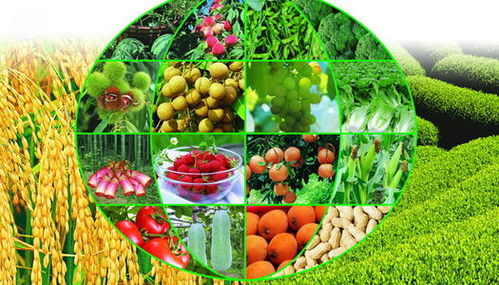 工廠停產(chǎn)下的農(nóng)業(yè)機遇 蔬菜產(chǎn)業(yè)能否迎來大發(fā)展？