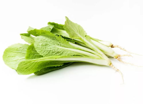 應季養(yǎng)生｜冬季餐桌必備 這幾種時令蔬菜不僅營養(yǎng)豐富，還能增強抵抗力